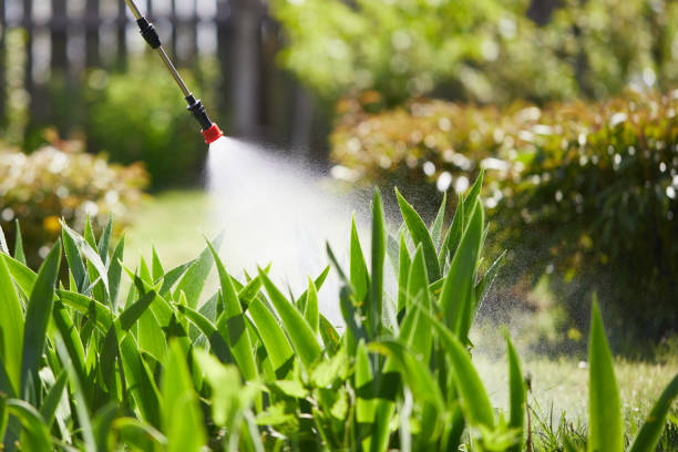 24/7 Emergency Fumigation Services experts in Somerset, KY